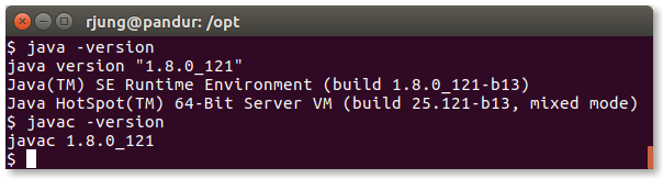 `java -version`